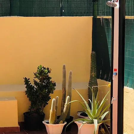 Apartamento La Real Tierra
